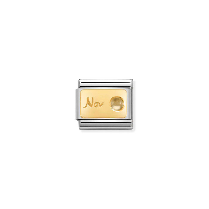 030519 11 01 Nomination - Composable Classic MONTH STONE in steel, stones and 18k gold November CITRINE