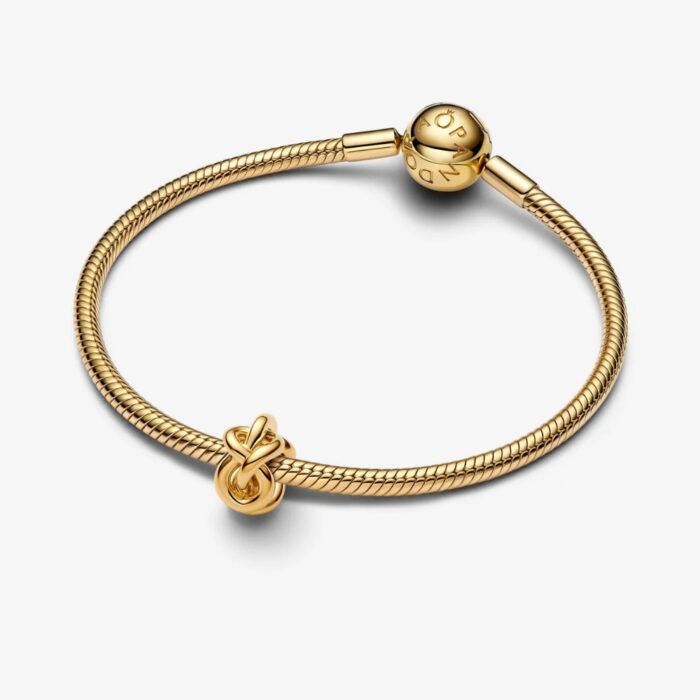 Pandora - Evighetsknute Charm - Bilde 5