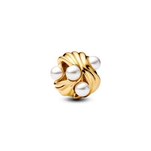 Pandora - Abstrakte Bølger Charm
