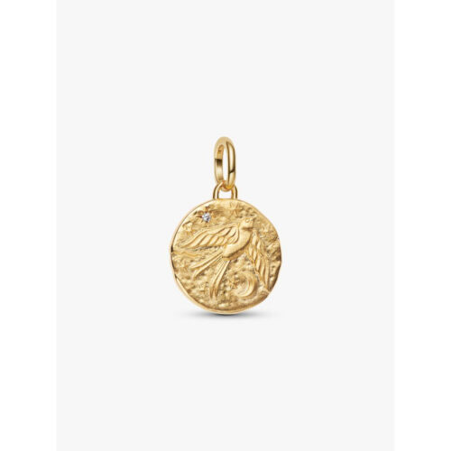 Pandora - Svale medaljong charm - 14k forgylling