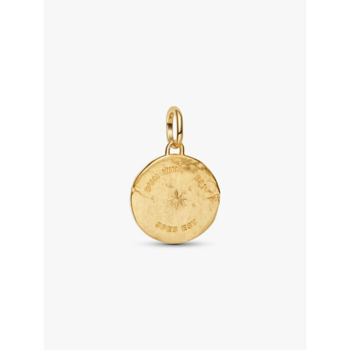 Pandora - Svale medaljong charm - 14k forgylling - Bilde 2