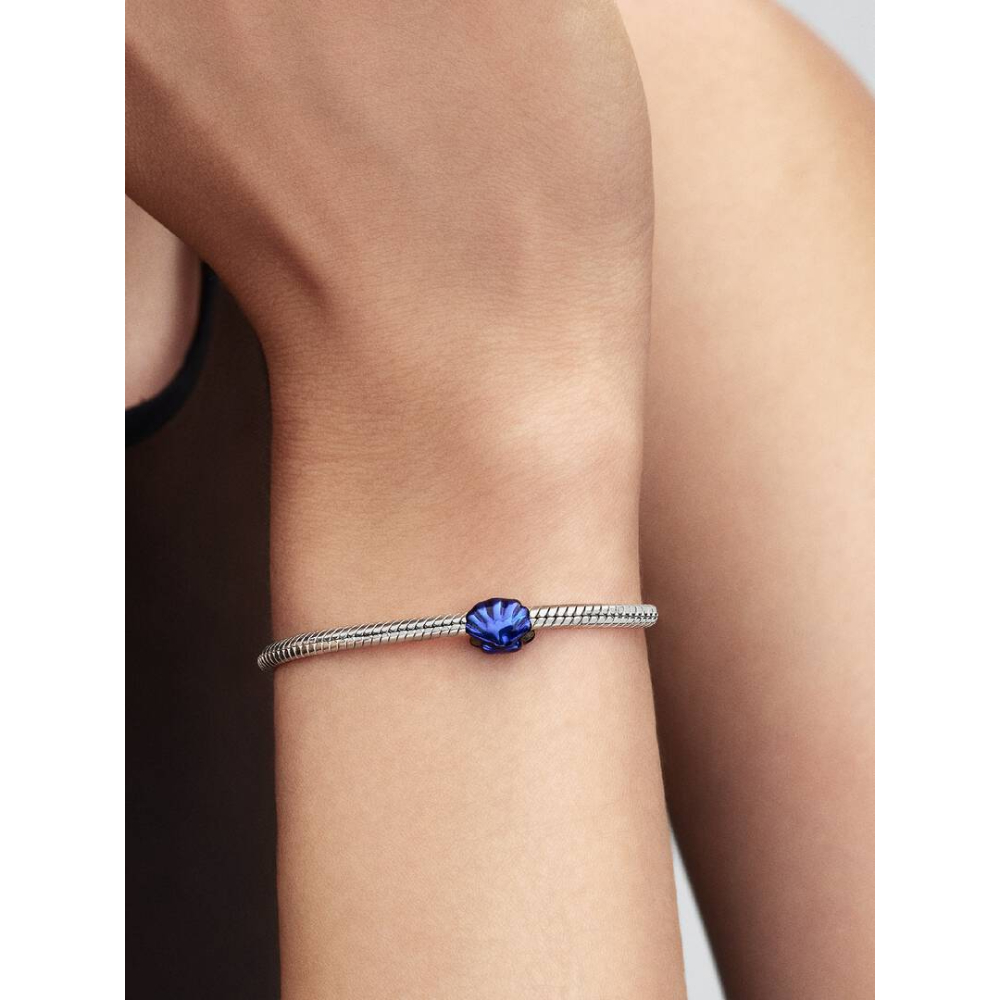Pandora – Blått Skjell Mini Charm - Bilde 5