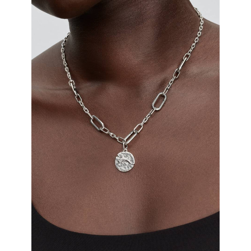 Pandora – Delfin Medaljong Charm i sølv - Bilde 4