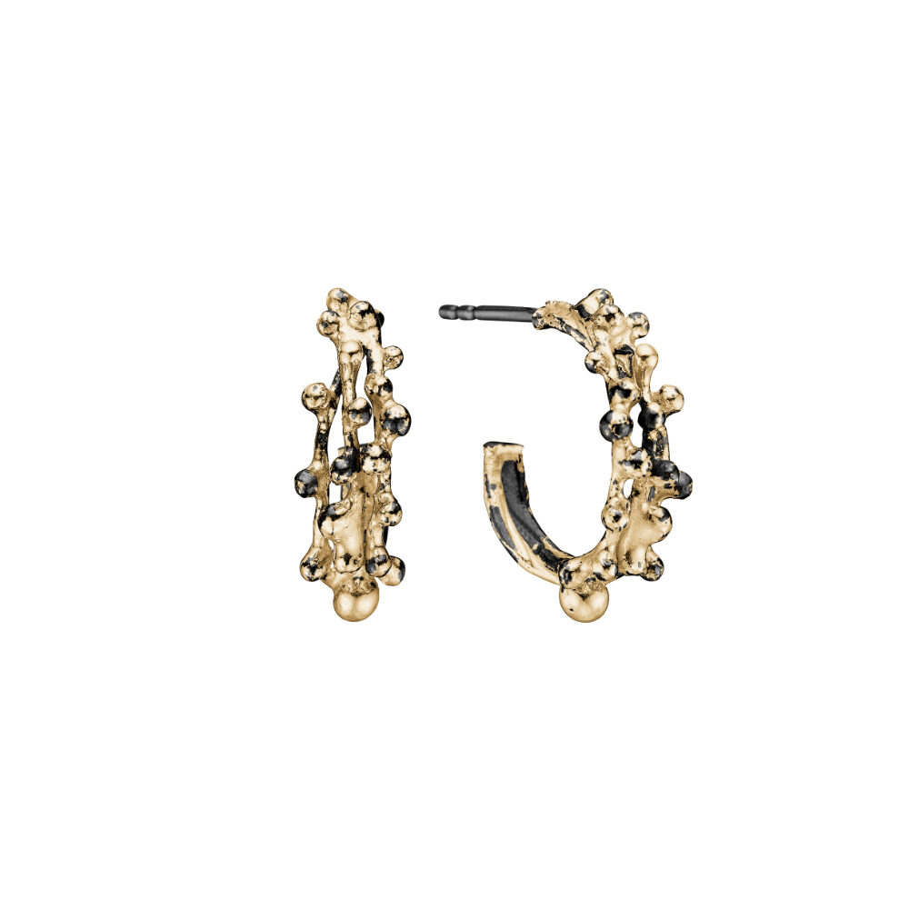 50811476A_Ears_Buds Golden Creol 17mm