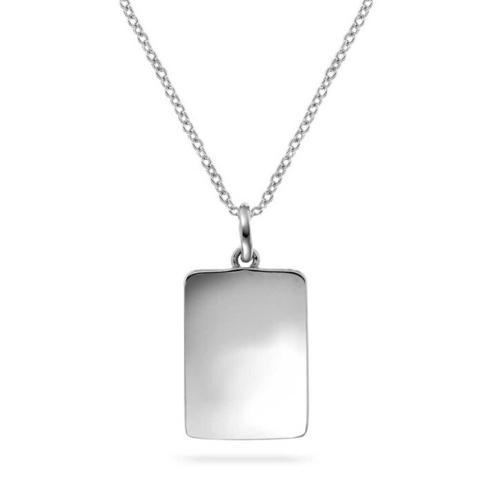 972571 A ALEXANDER - Halssmykke i sølv med plate