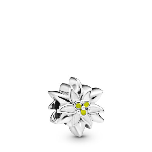 Pandora - Edelweiss Flower - Charm