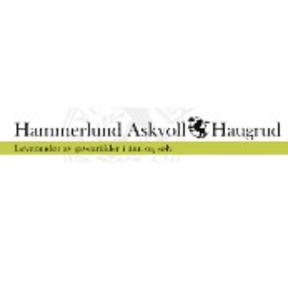 Hammerlund Askvoll Haugrud Tinn
