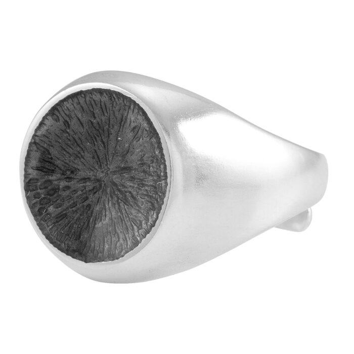 Opro 401 Ring GraMorkWEB Opro - Signet Ring - Ring 925 sølv med emalje - 62 ulike farger å velge mellom