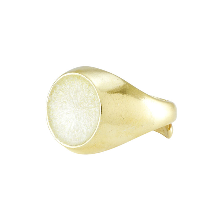 SignetRingChampagneWEB Opro - Signet Ring - Ring 925 sølv med emalje - 62 ulike farger å velge mellom